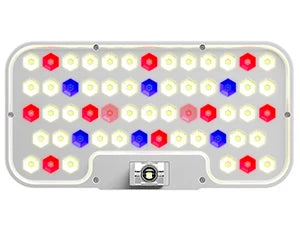Indoor Herb Garden Hydroponic Planting System: 10 Pod LED Growth Kit
