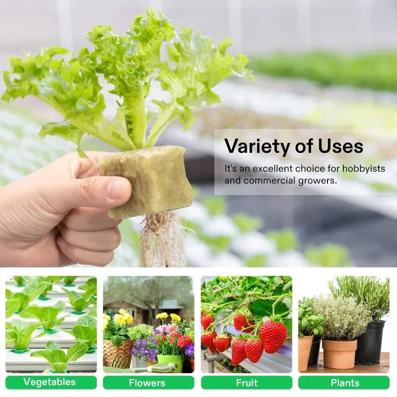 GrowEase Hydroponic Starter Cubes