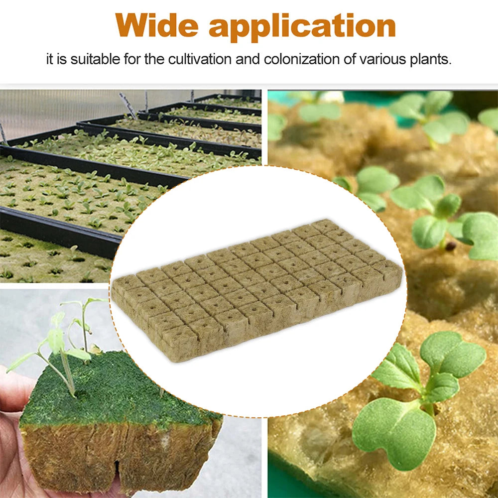 GrowEase Hydroponic Starter Cubes