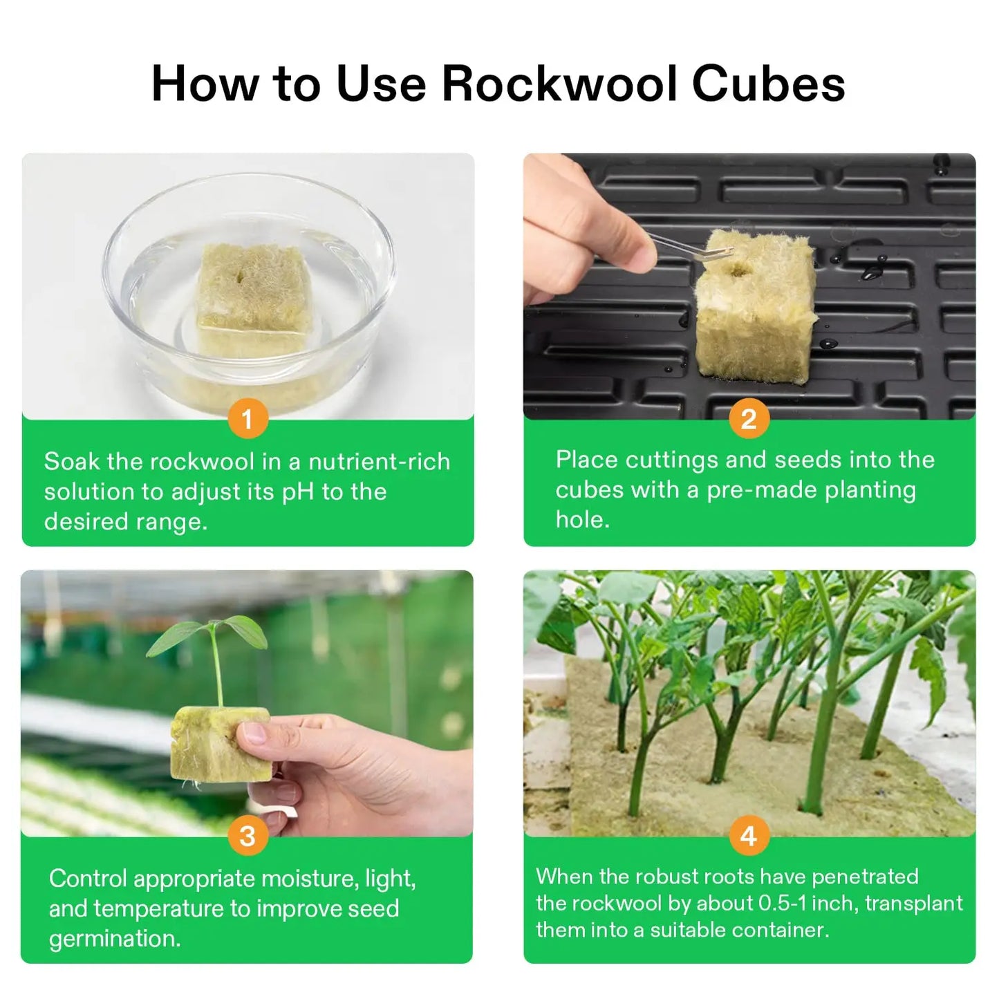 GrowEase Hydroponic Starter Cubes