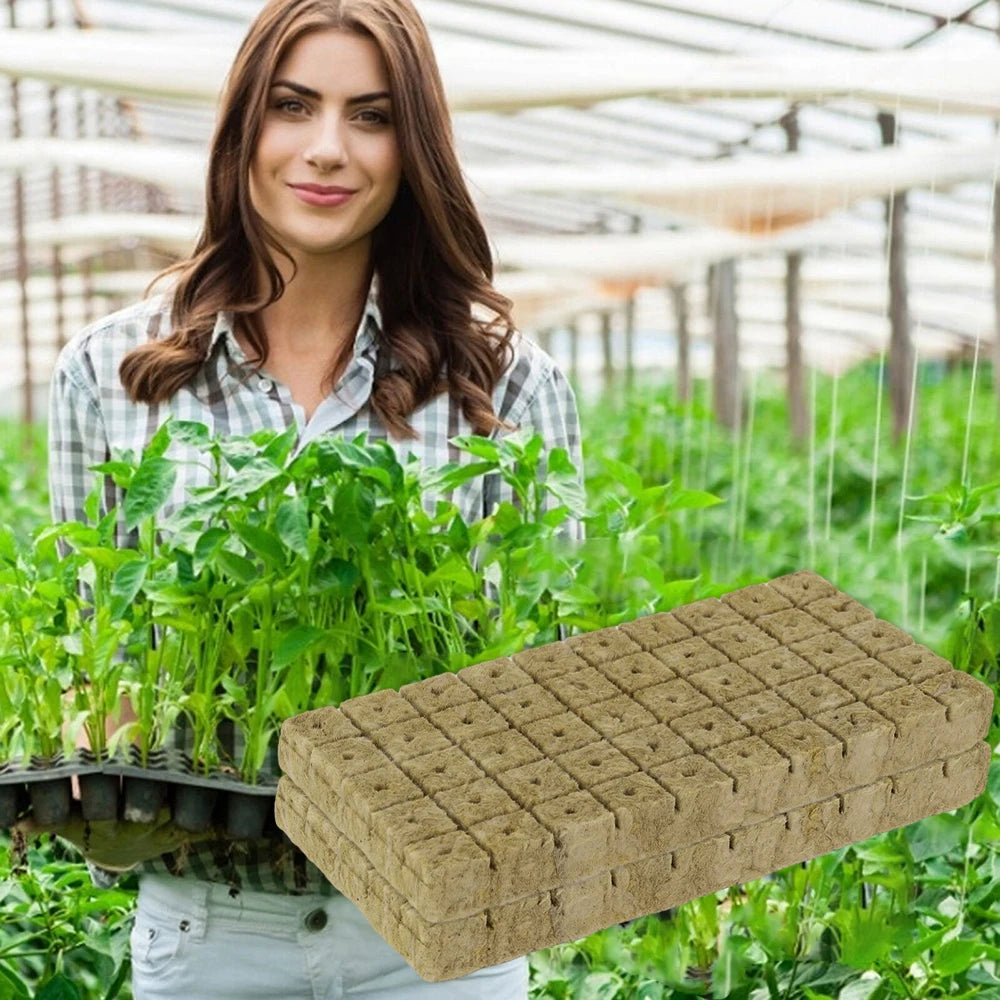GrowEase Hydroponic Starter Cubes